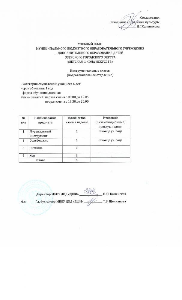 Учебные планы инструментальные классы (пдготовительное отделение) 