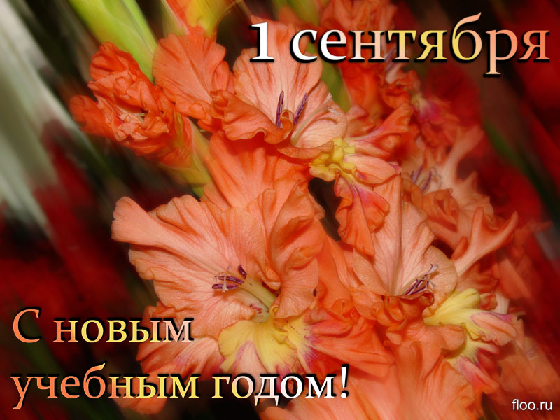 Поздравляем с Днём знаний!