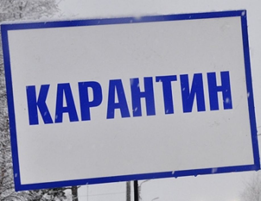 Карантин