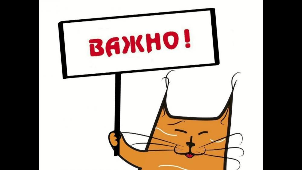 О возобновлении занятий