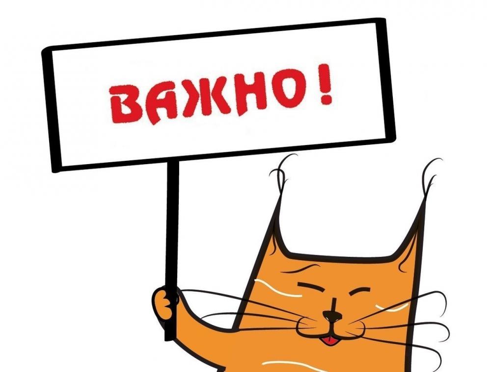 Вручение Свидетельств 
